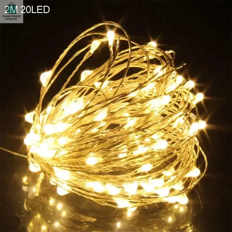2M 20LED Santa Claus Snowflake LED Light String ChristmasPleasant Product