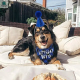 Dog Birthday Party Decoration Set Pet Triangle ScarfPleasant Product