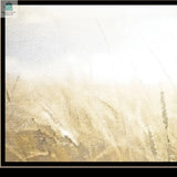 Fields of Gold 2 Black Framed Print Wall Art-3