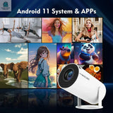 Home Cinema Outdoor ProjectorPleasant Product