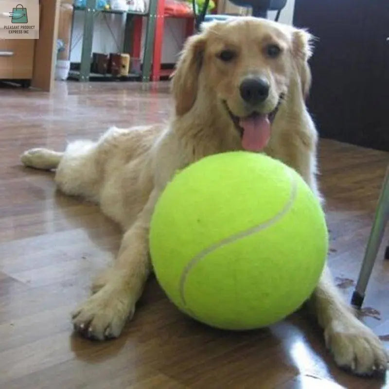 Jumbo Tennis Ball-0