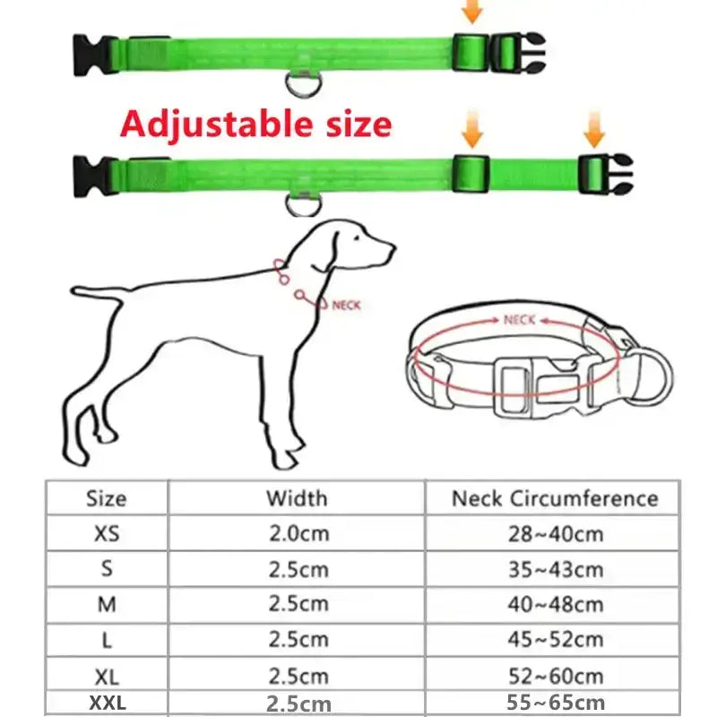 LED Glowing Dog Collar Adjustable RechargeablePleasant Product