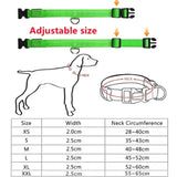LED Glowing Dog Collar Adjustable RechargeablePleasant Product