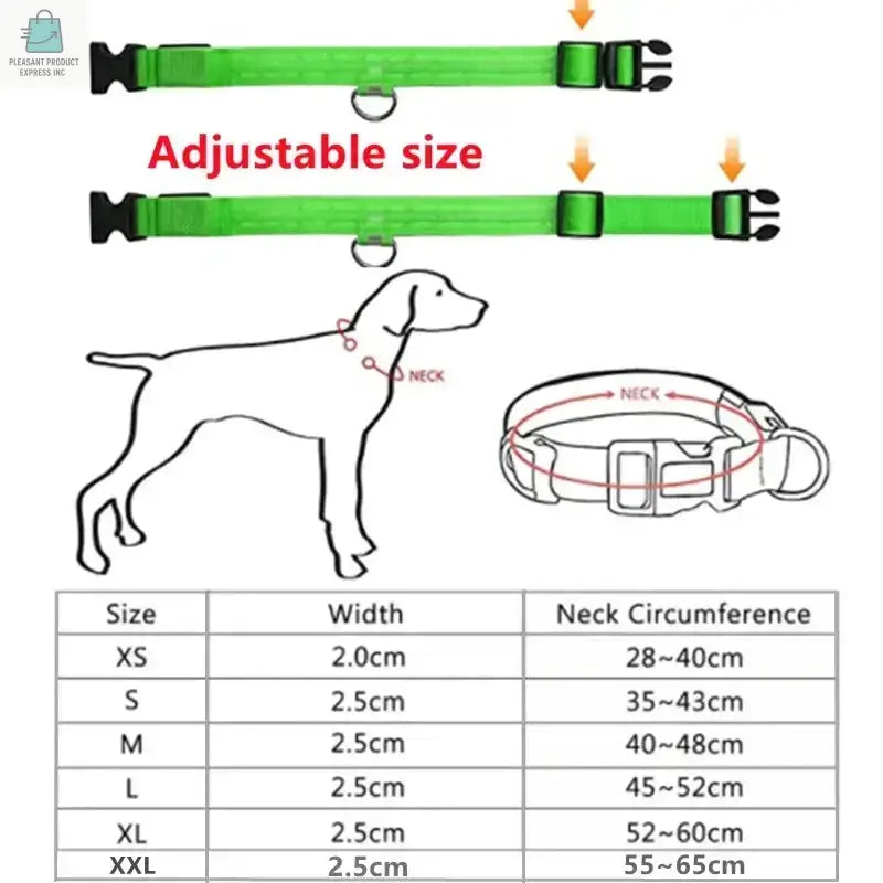 LED Glowing Dog Collar Adjustable RechargeablePleasant Product