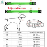 LED Glowing Dog Collar Adjustable RechargeablePleasant Product