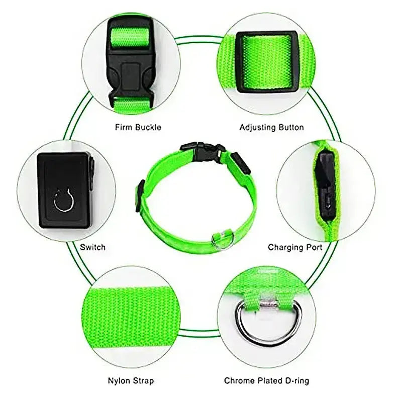 LED Glowing Dog Collar Adjustable RechargeablePleasant Product