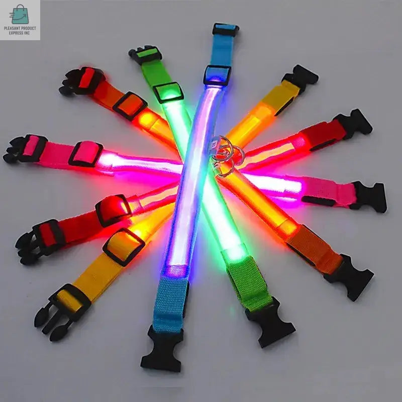 LED Glowing Dog Collar Adjustable RechargeablePleasant Product