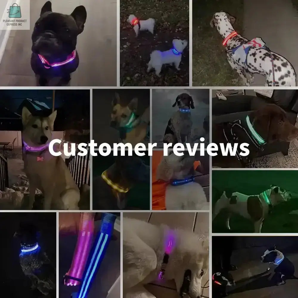 LED Glowing Dog Collar Adjustable RechargeablePleasant Product