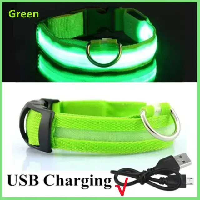 LED Glowing Dog Collar Adjustable RechargeablePleasant Product