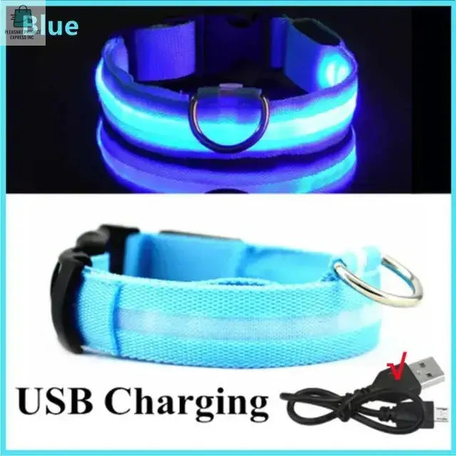 LED Glowing Dog Collar Adjustable RechargeablePleasant Product