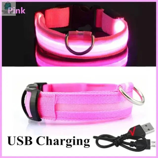 LED Glowing Dog Collar Adjustable RechargeablePleasant Product
