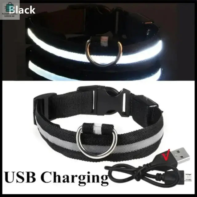 LED Glowing Dog Collar Adjustable RechargeablePleasant Product