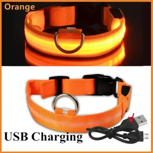 LED Glowing Dog Collar Adjustable RechargeablePleasant Product