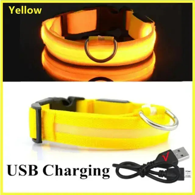 LED Glowing Dog Collar Adjustable RechargeablePleasant Product