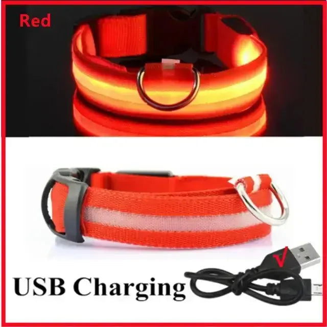 LED Glowing Dog Collar Adjustable RechargeablePleasant Product