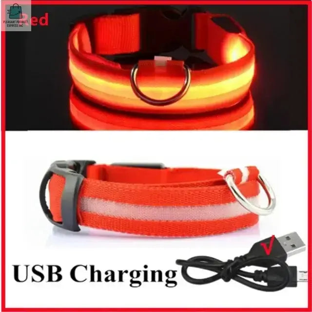 LED Glowing Dog Collar Adjustable RechargeablePleasant Product