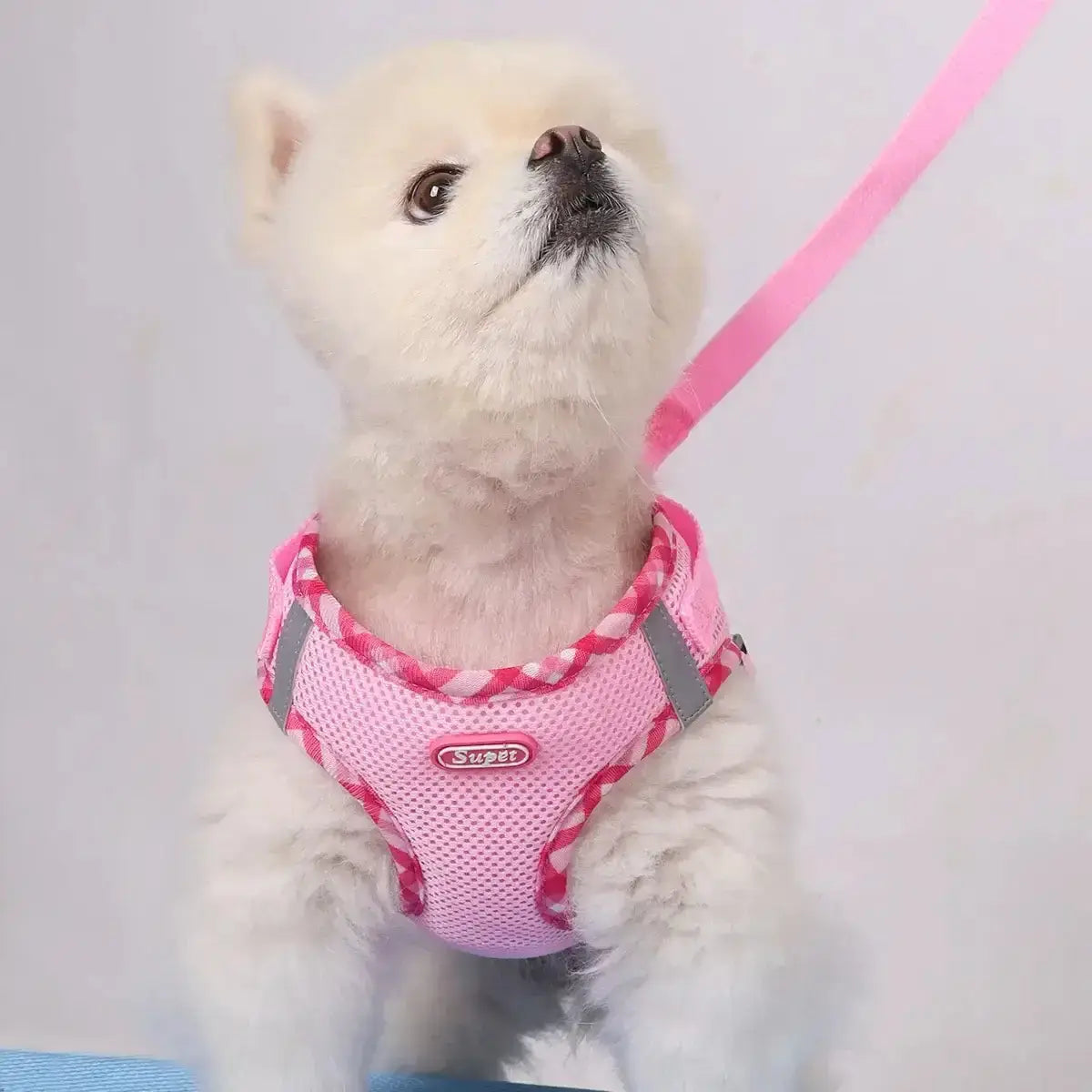 Pet Harness, Adjustable, Easy to ControlPleasant Product
