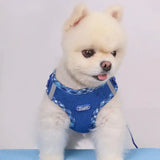 Pet Harness, Adjustable, Easy to ControlPleasant Product