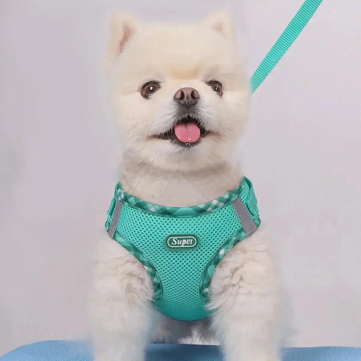 Pet Harness, Adjustable, Easy to ControlPleasant Product