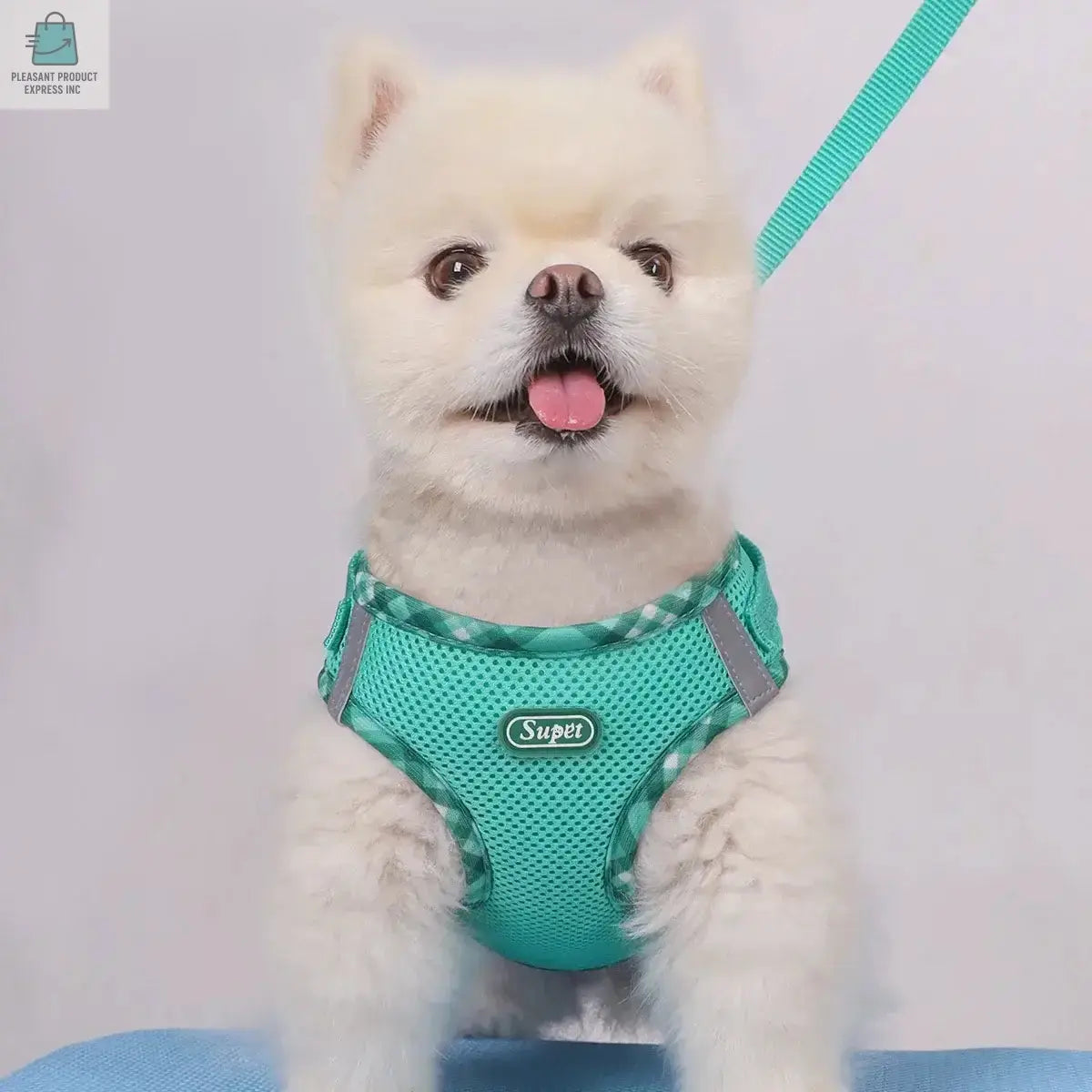 Pet Harness, Adjustable, Easy to ControlPleasant Product