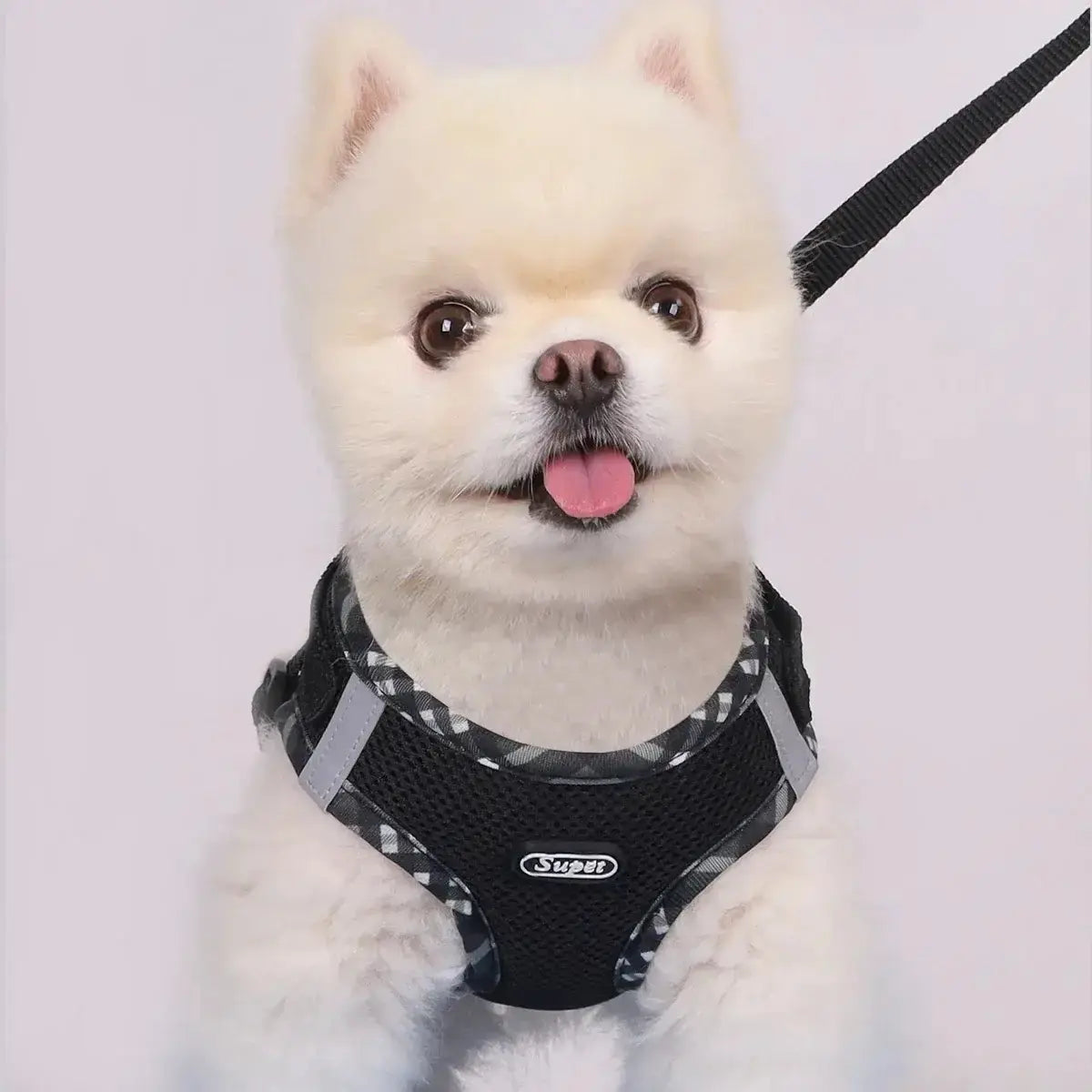 Pet Harness, Adjustable, Easy to ControlPleasant Product