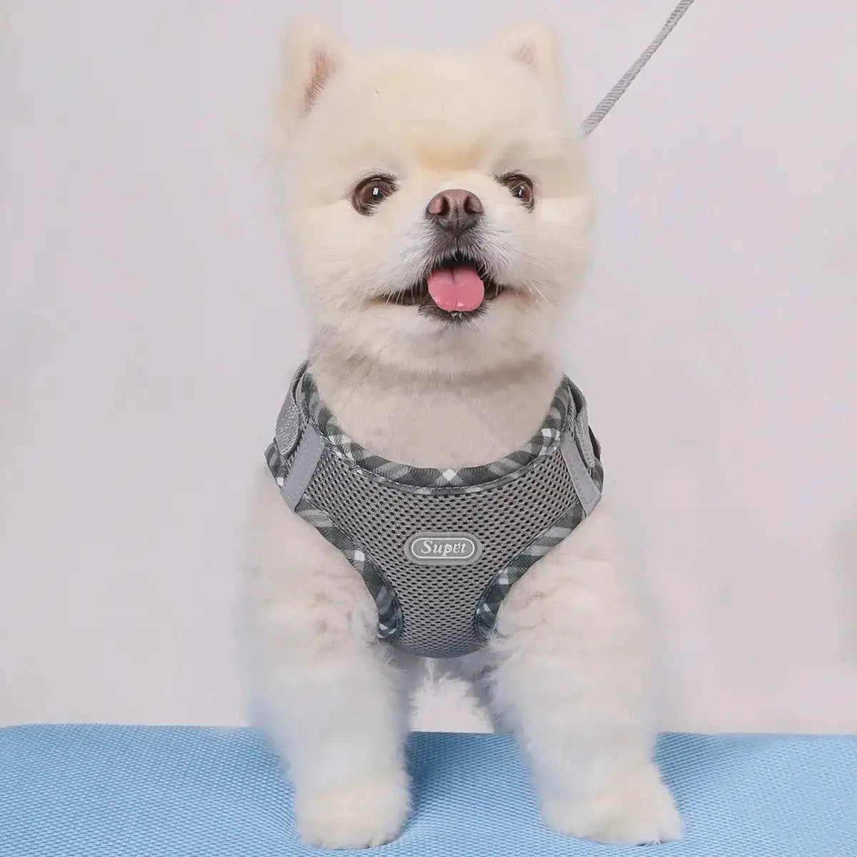 Pet Harness, Adjustable, Easy to ControlPleasant Product