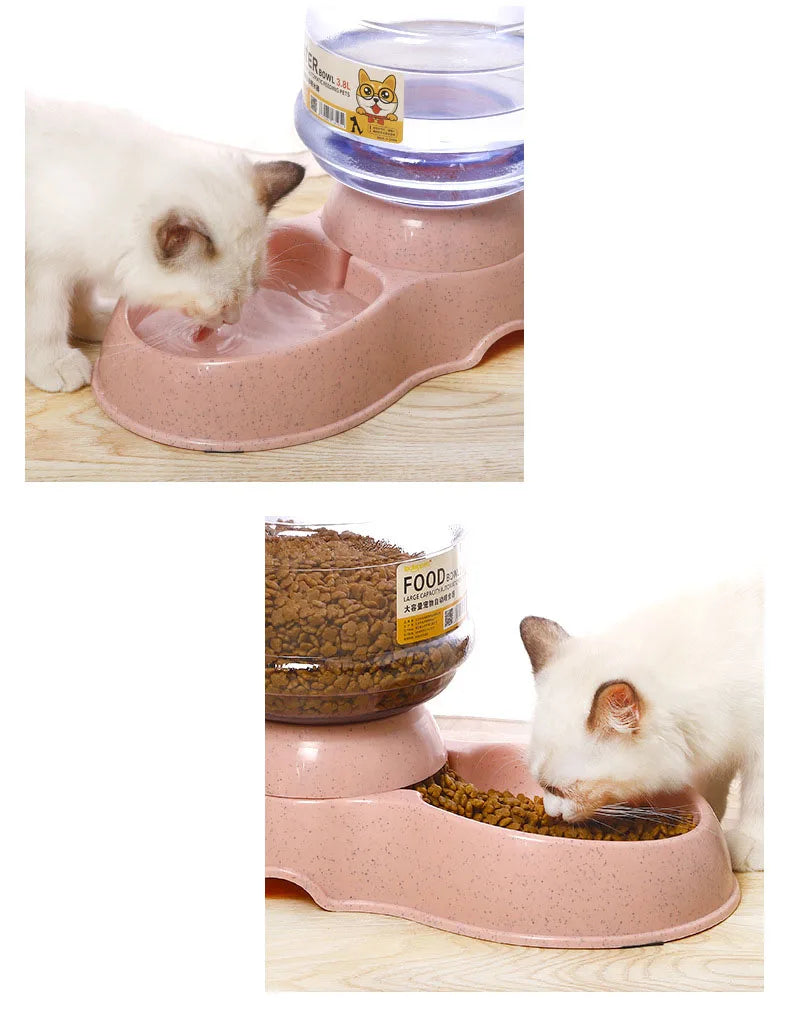 Dog Automatic Feeders - Pleasant Product