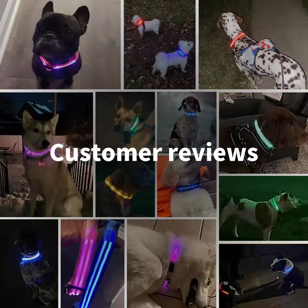 LED Glowing Dog Collar Adjustable Rechargeable