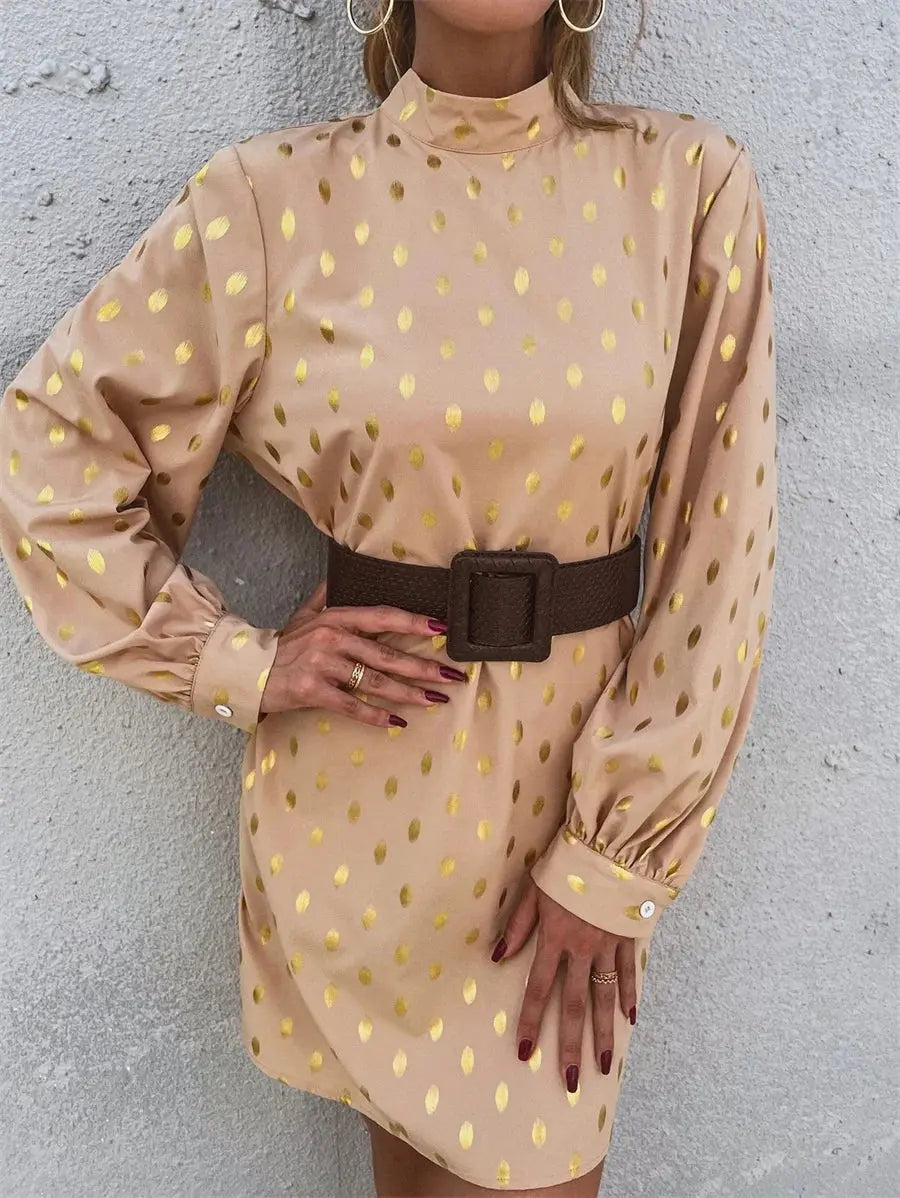 Long-sleeved Dress  Mock Neck Keyhole Back Loose Pleasant Product Express Inc