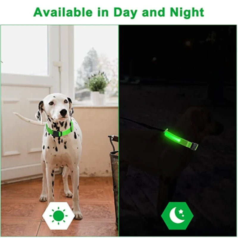 LED Glowing Dog Collar Adjustable Rechargeable