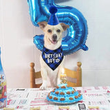 Dog Birthday Party Decoration Set Pet Triangle Scarf