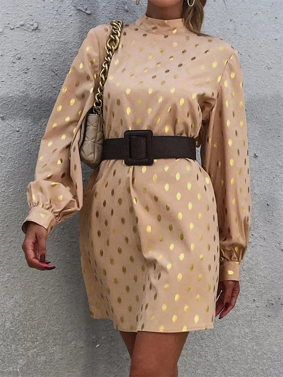 Long-sleeved Dress  Mock Neck Keyhole Back Loose Pleasant Product Express Inc