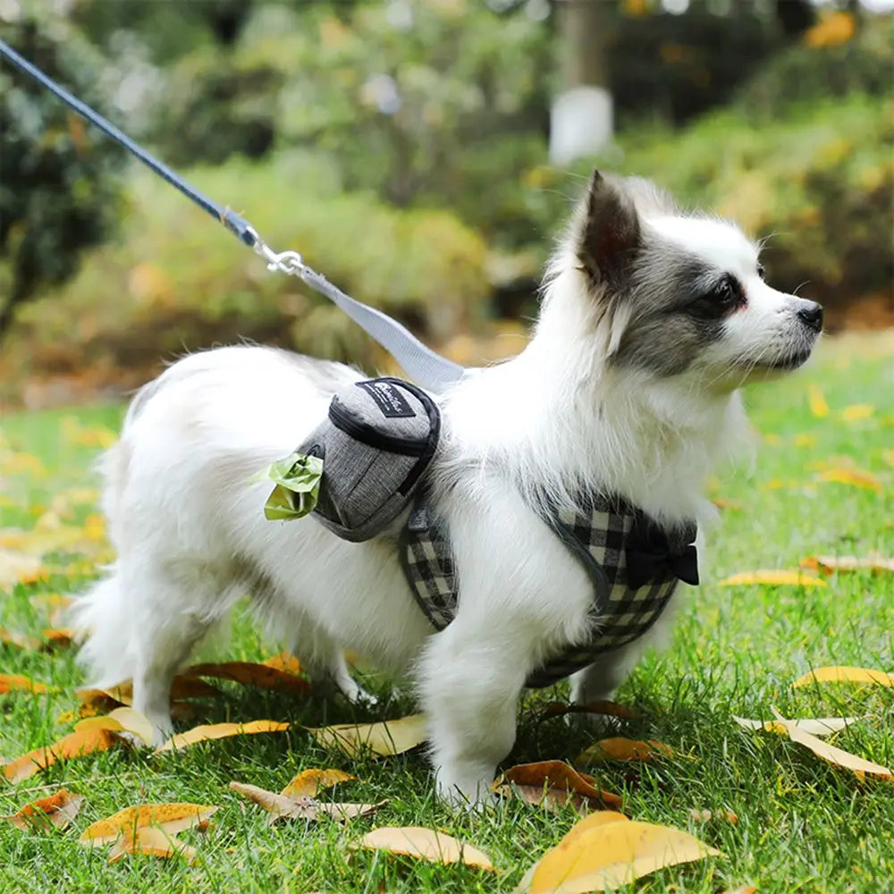 Portable Dog Training Treat Bag Outdoor