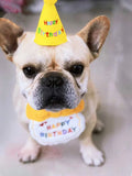 Cat & Dog Birthday Bib