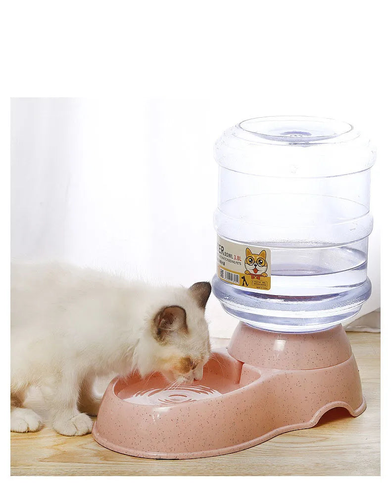 Dog Automatic Feeders - Pleasant Product