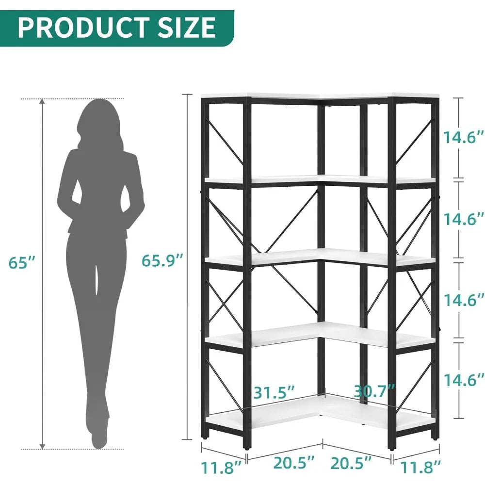 Bookshelf Shelf Display Stand