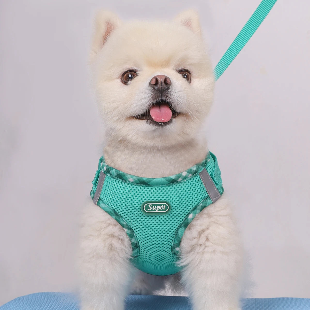 Pet Harness, Adjustable, Easy to Control